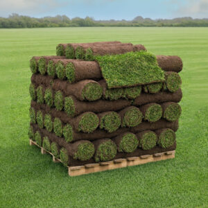 Freshly harvested rolls of TurfWorld Signature Turf