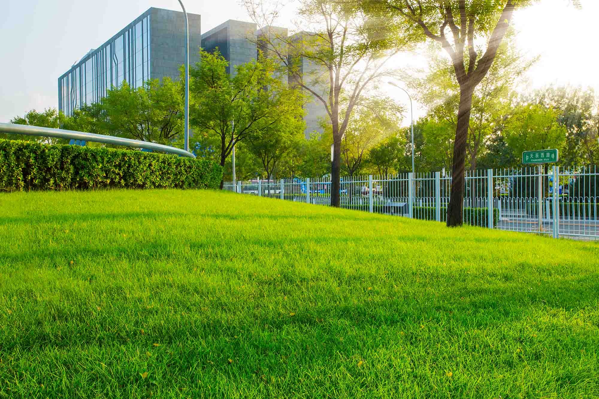 Maintained green lawn at a modern office and business park