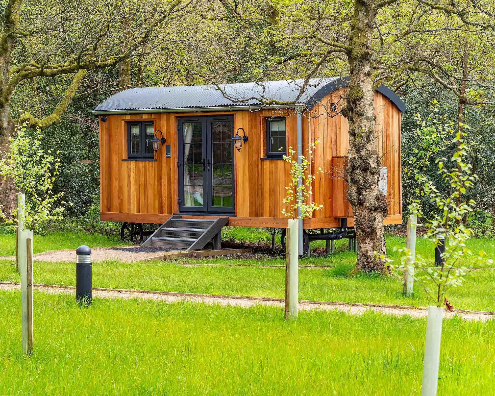 Holiday lodges surrounded by healthy green turf