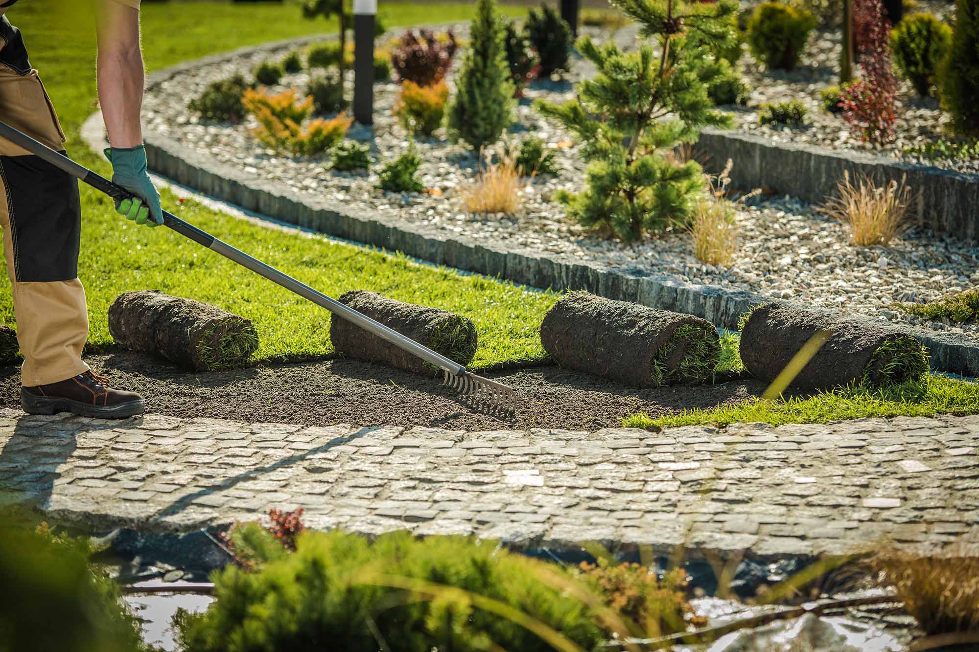 New turf being laid across a large residential lawn