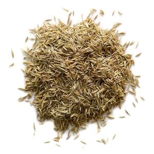 grass seed 1 web