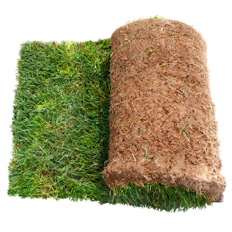 turf 1 web