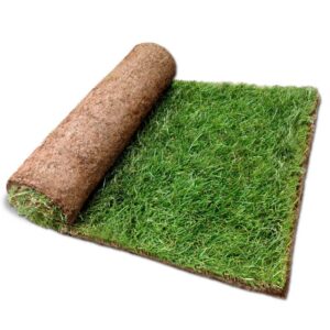 turf - turfworld