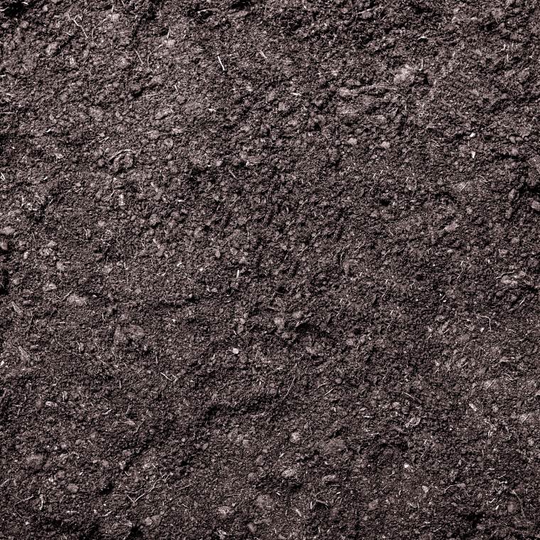 Turfworld Peat Free Multi Purpose Compost Bulk Bag or Loose