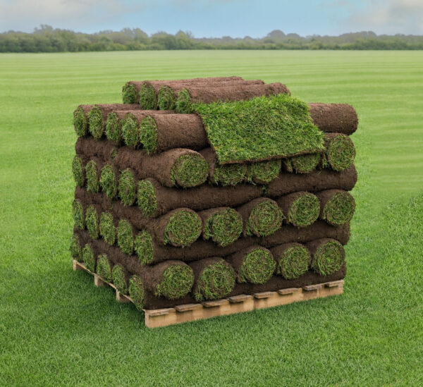 TurfWorld Signature Turf available for delivery to Lichfield
