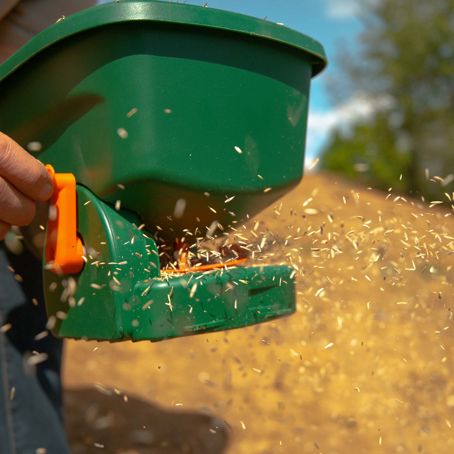 Emerald Grass Seed Bulk Bag 20kg - Image 4