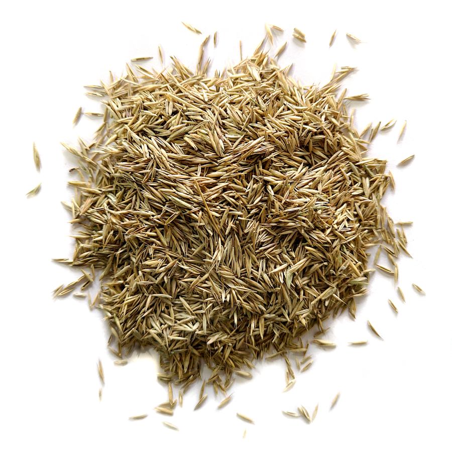 Emerald Grass Seed Bulk Bag 20kg