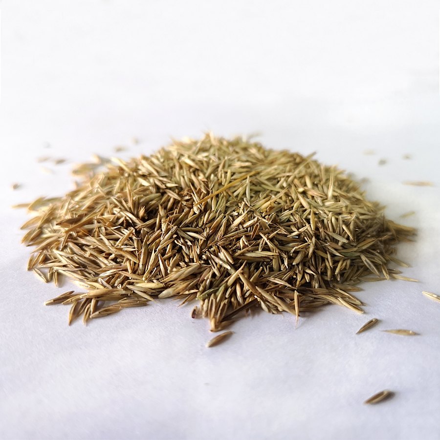 Emerald Grass Seed Bulk Bag 20kg - Image 3