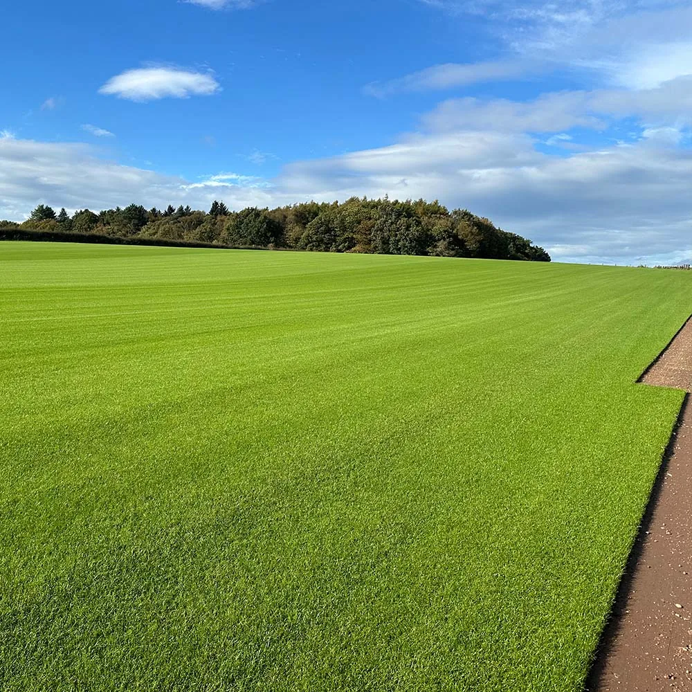 Signature Turf - Image 4