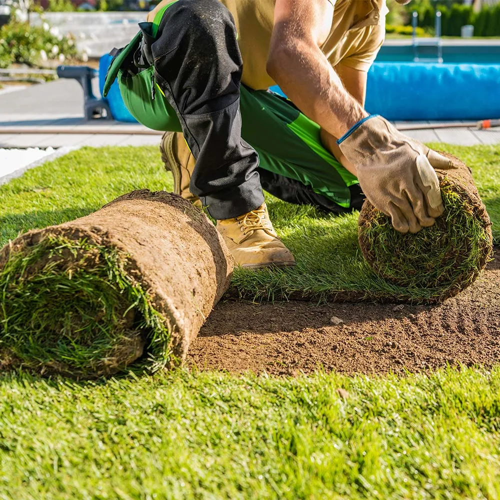 Signature Turf - Image 3