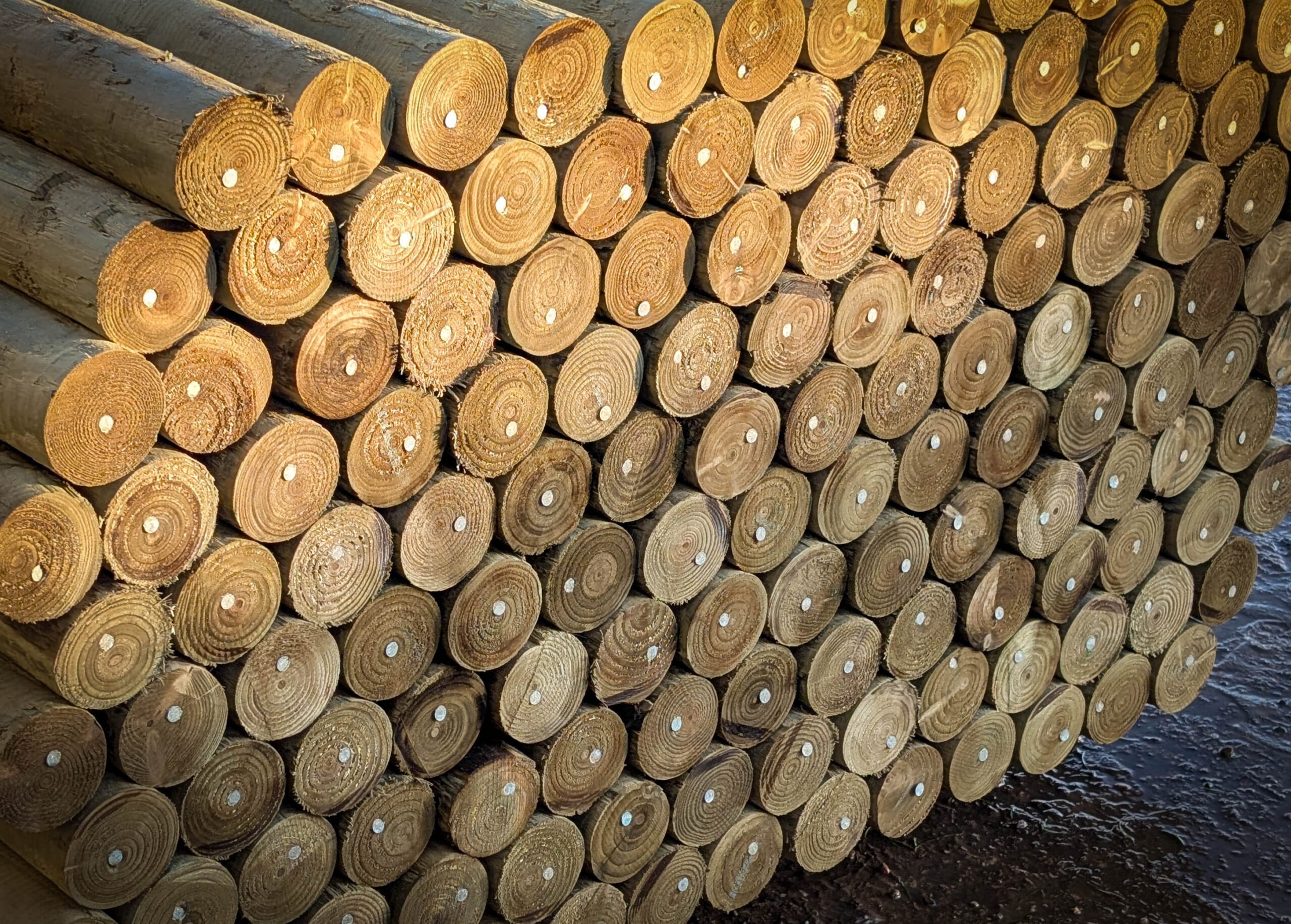 1.5m x 60mm Round Treated Wooden Post Stakes - Image 2