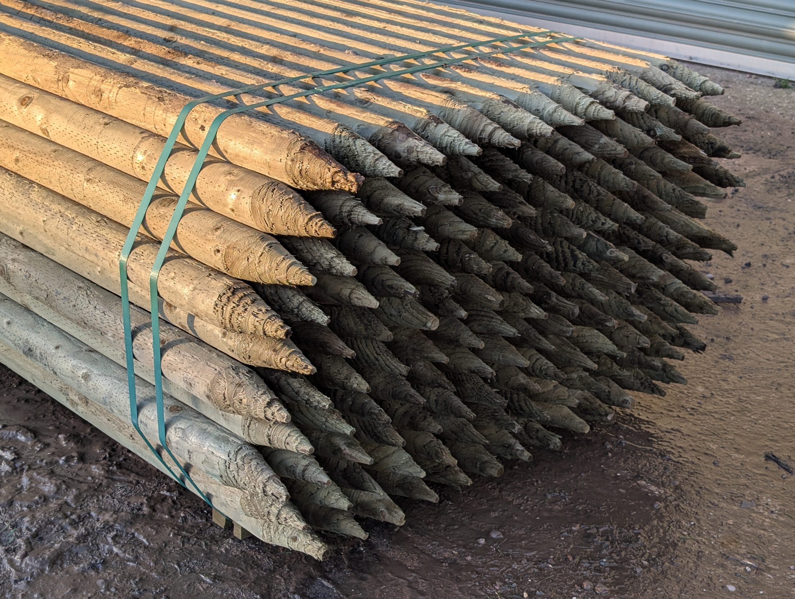 1.5m x 60mm Round Treated Wooden Post Stakes - Image 3